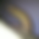 photo de kevin1