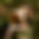 photo de blondfeminin
