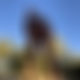 photo de sany