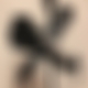 photo de 