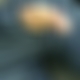 photo de 