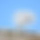photo de 