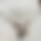 photo de 