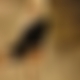 photo de 