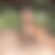 photo de tiago53