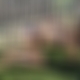 photo de 