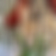 photo de 