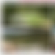 photo de 