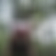 photo de 
