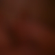 photo de will091011