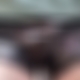 photo de